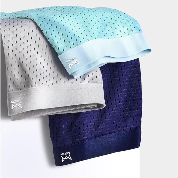 underpants antibacterial boxer shorts mesh youth sports, Black;white