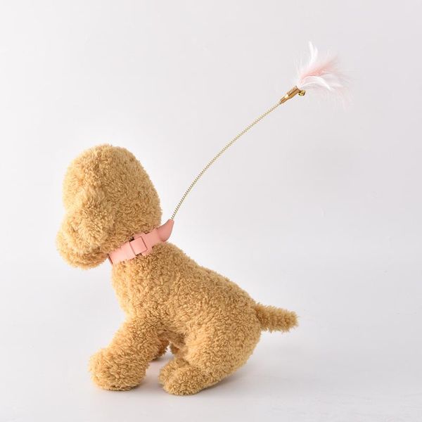 cat toys feather collar teases cats stick since hi relieves stuffy feet with lazy people teasing pet supplies
cat toys feather collar teases cats stick since hi relieves stuffy feet with lazy people teasing pet supplies