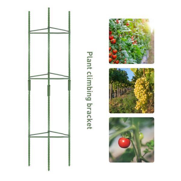 other garden supplies practical assembled plant support stakes multi-functional durable cage with 3pcs clips for vertical climbing plants
other garden supplies practical assembled plant support stakes multi-functional durable cage with 3pcs clips for vertical climbing plants