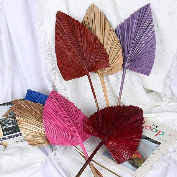decorative flowers & wreaths palm fan leaf dried flower window reception party art wall hanging decoration wedding arch arrangement
decorative flowers & wreaths palm fan leaf dried flower window reception party art wall hanging decoration wedding arch arrangement