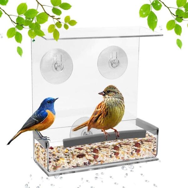 other bird supplies feeder acrylic transparent window viewing feeders tray birdhouse pet water suction cup mount house type
other bird supplies feeder acrylic transparent window viewing feeders tray birdhouse pet water suction cup mount house type