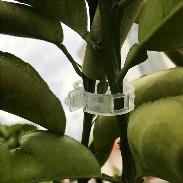 other garden supplies 50/100pcs plastic plant clips supports connects reusable protection grafting fixing tool gardening for vegetable
other garden supplies 50/100pcs plastic plant clips supports connects reusable protection grafting fixing tool gardening for vegetable