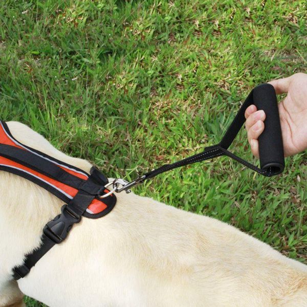 dog collars & leashes leash with padded handle for medium large dogs reflective pet walking training
dog collars & leashes leash with padded handle for medium large dogs reflective pet walking training