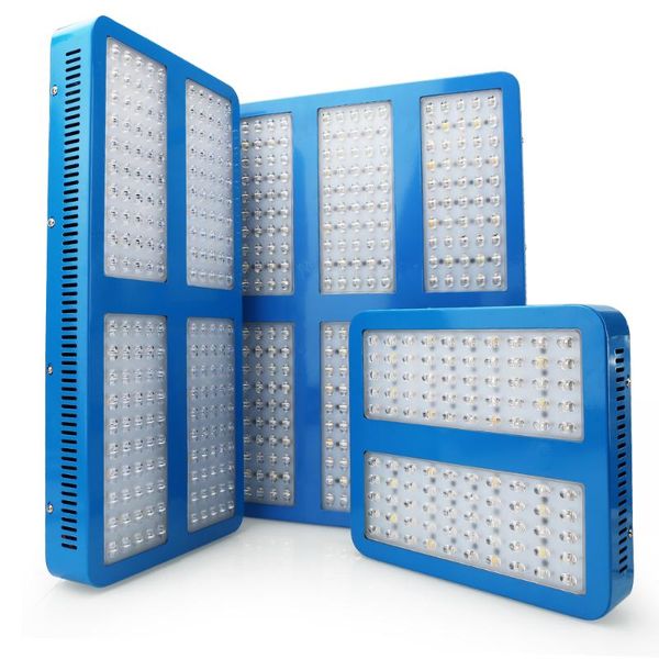 grow light 300/1000/1200/1600/2000/3000w double chips led full spectrum growing lamp phyto for plant greenhouse hydroponic lights
grow light 300/1000/1200/1600/2000/3000w double chips led full spectrum growing lamp phyto for plant greenhouse hydroponic lights