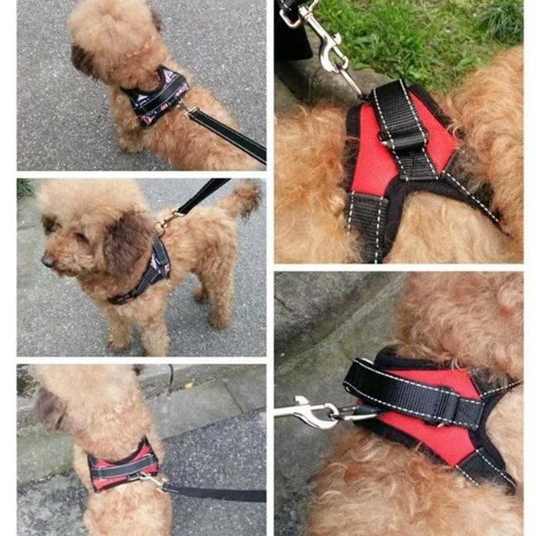 dog collars & leashes pet adjustable safety harness travel strap vest walking for puppy chihuahua pug soft cloth walk leash collar
dog collars & leashes pet adjustable safety harness travel strap vest walking for puppy chihuahua pug soft cloth walk leash collar