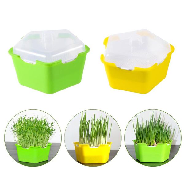 planters & pots pentagonal plastic sprout planting pot box bean pea sprouter seedling tray wheat grass cat nursery growing germination kit
planters & pots pentagonal plastic sprout planting pot box bean pea sprouter seedling tray wheat grass cat nursery growing germination kit
