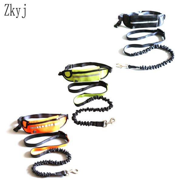 pet pocket running two-piece traction rope explosion type dog cat jogging perfect walking training collars & leashes
pet pocket running two-piece traction rope explosion type dog cat jogging perfect walking training collars & leashes
