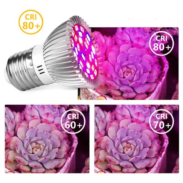 grow lights 1w leds phyto led hydroponic growth light e27 e14 gu10 bulb full spectrum uv ir lamp plant seedling fitolamp
grow lights 1w leds phyto led hydroponic growth light e27 e14 gu10 bulb full spectrum uv ir lamp plant seedling fitolamp