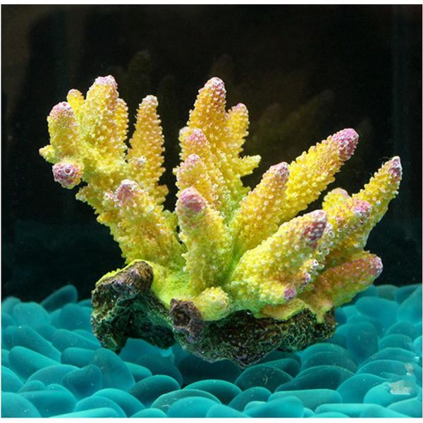 decorations resin artificial coral aquarium decoration rock fish tank reef ornament stone plant background
decorations resin artificial coral aquarium decoration rock fish tank reef ornament stone plant background