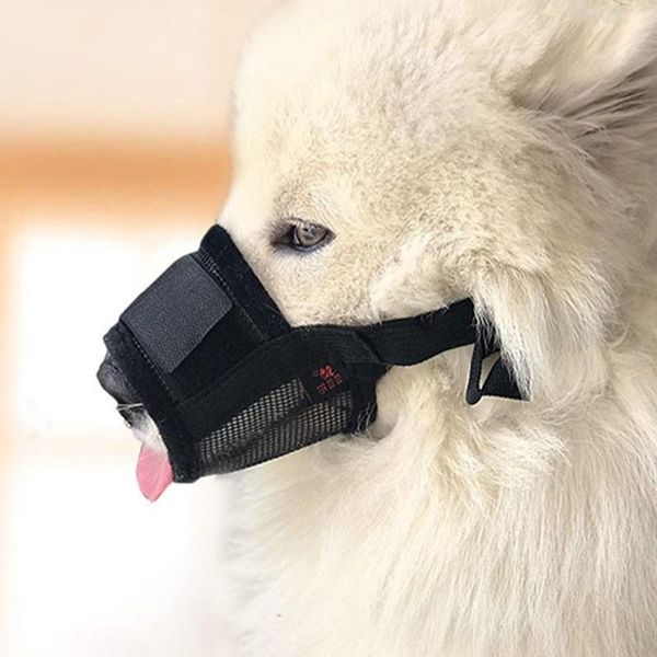 dog muzzle comfortable nylon material soft anti-biting barking breathable mesh durable pet outdoor walking supplies apparel
dog muzzle comfortable nylon material soft anti-biting barking breathable mesh durable pet outdoor walking supplies apparel
