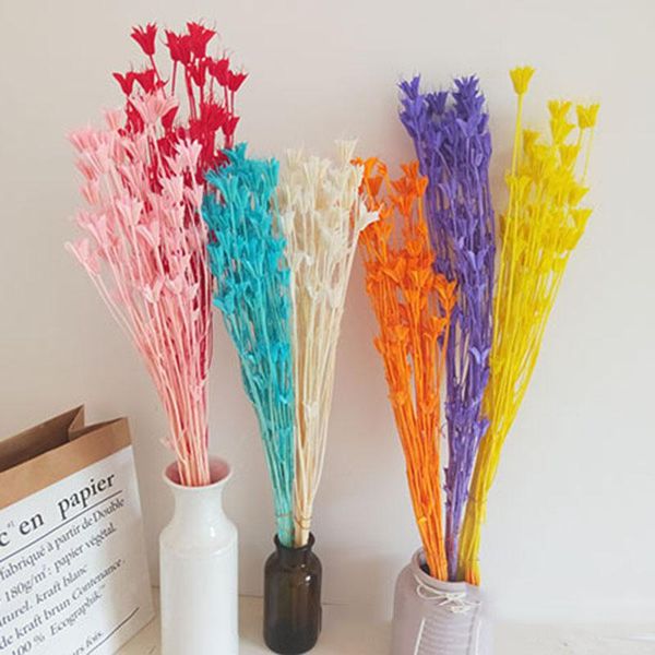 decorative flowers & wreaths mini dried star anise flower bouquet real plant small preserve floral bunch home wedding po backdrop decor
decorative flowers & wreaths mini dried star anise flower bouquet real plant small preserve floral bunch home wedding po backdrop decor