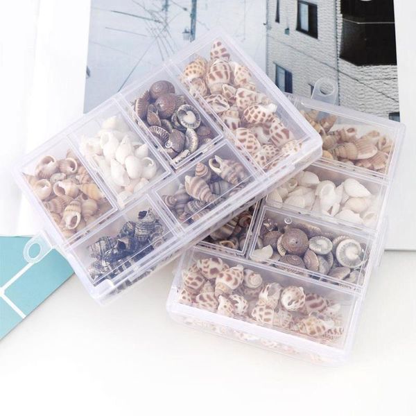 novelty items 100g/box natural conch shells mini corn screw wall decoration diy aquarium landscape seashells crafts/party decor
novelty items 100g/box natural conch shells mini corn screw wall decoration diy aquarium landscape seashells crafts/party decor
