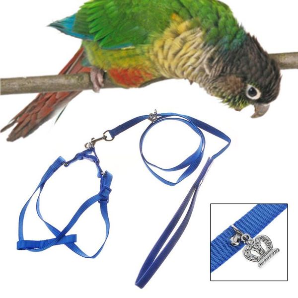 other bird supplies parrot leash pet harness outdoor adjustable anti bite training rope flying band
other bird supplies parrot leash pet harness outdoor adjustable anti bite training rope flying band