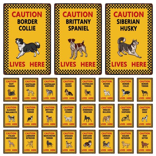 dog caution english bulldog border collie lives here metal sign home decor bar wall art painting 20*30 cm size dy161
dog caution english bulldog border collie lives here metal sign home decor bar wall art painting 20*30 cm size dy161