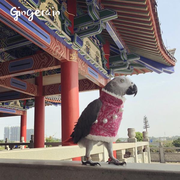 other bird supplies gingerain clothes parrot han suit millet original hand-made custom embroider
other bird supplies gingerain clothes parrot han suit millet original hand-made custom embroider