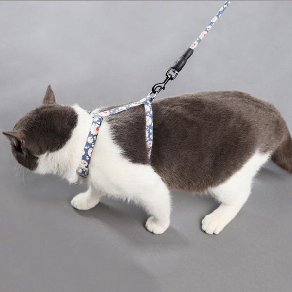 puppy cat chest strap and leash set for walking escape proof leashes adjustable soft vest harnesses cats puppies accessories dog collars &
puppy cat chest strap and leash set for walking escape proof leashes adjustable soft vest harnesses cats puppies accessories dog collars &