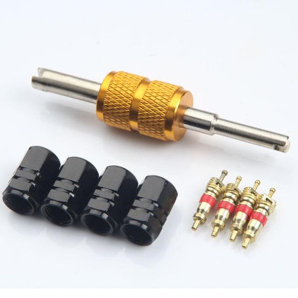 hand tools 1set multifunction valve core wrench screw driver for tire repair removal air conditioning operated tool
hand tools 1set multifunction valve core wrench screw driver for tire repair removal air conditioning operated tool