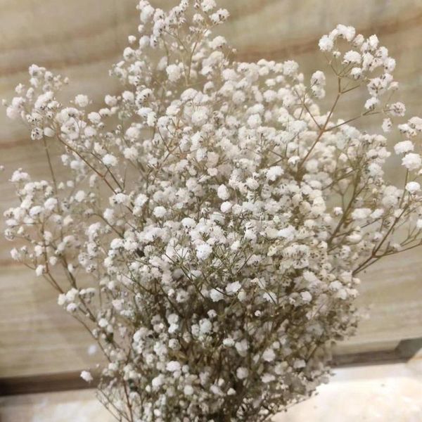 decorative flowers & wreaths dried natural baby's breath flower gypsophila floral bunch home decoration,white
decorative flowers & wreaths dried natural baby's breath flower gypsophila floral bunch home decoration,white