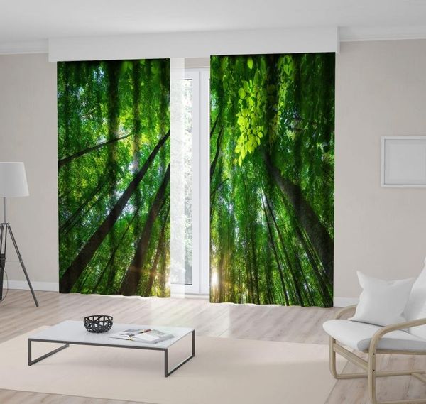 curtain & drapes into the forest tall trees sun shining through leaves foliage branches wild nature po green yellow
curtain & drapes into the forest tall trees sun shining through leaves foliage branches wild nature po green yellow