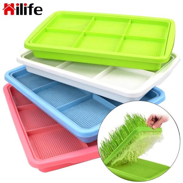 planters & pots plate seedling tray home garden 1 piece growing wheat seedlings nursery double layer bean sprouts planting dishes
planters & pots plate seedling tray home garden 1 piece growing wheat seedlings nursery double layer bean sprouts planting dishes