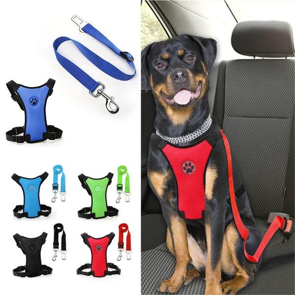 dog collars & leashes adjustable travel car seat belt pet harness and cover nylon net vehicle vest medium large
dog collars & leashes adjustable travel car seat belt pet harness and cover nylon net vehicle vest medium large