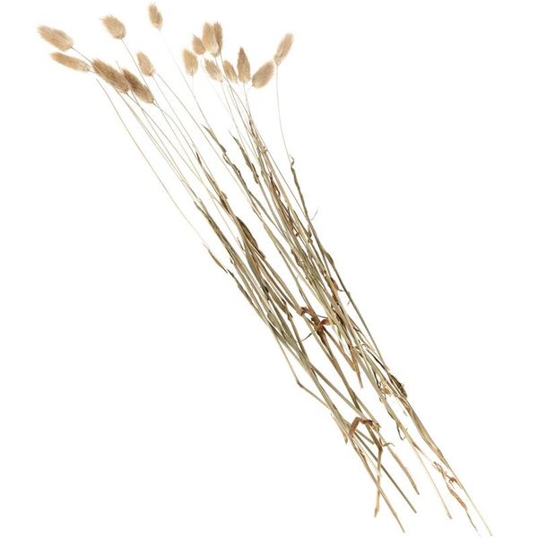 decorative flowers & wreaths 20 stems dried flower tail natural plants floral grass bouquet home decoration accessories po
decorative flowers & wreaths 20 stems dried flower tail natural plants floral grass bouquet home decoration accessories po