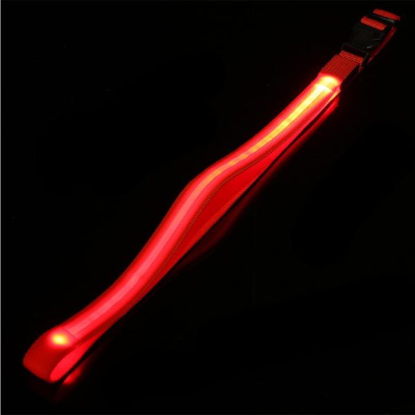 glowing waist belt outdoor rechargeable flashing night safety wristband for activities running hiking party bags
glowing waist belt outdoor rechargeable flashing night safety wristband for activities running hiking party bags