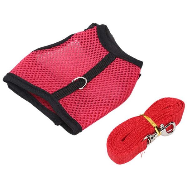 cat collars & leads collar personalized for harness with lead adjustable and soft pet walking rabbits
cat collars & leads collar personalized for harness with lead adjustable and soft pet walking rabbits