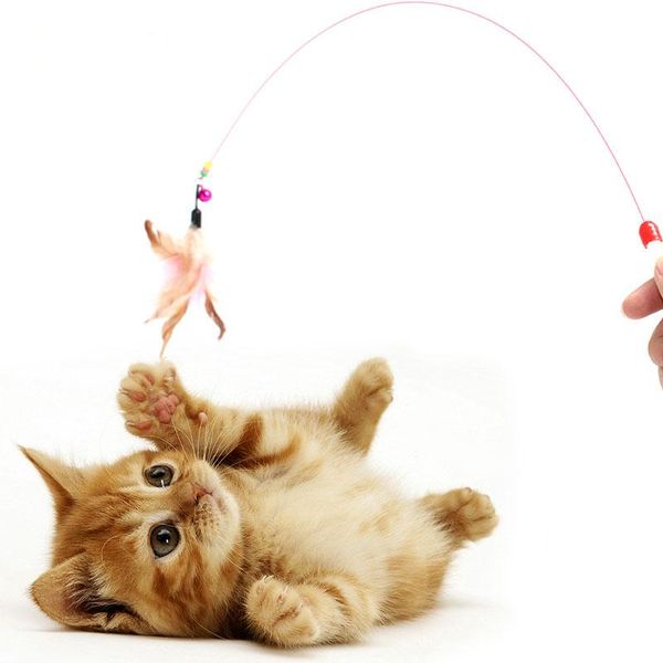 1pc pet cat toy cute design steel wire feather teaser wand plastic for cats color multi products product toys
1pc pet cat toy cute design steel wire feather teaser wand plastic for cats color multi products product toys