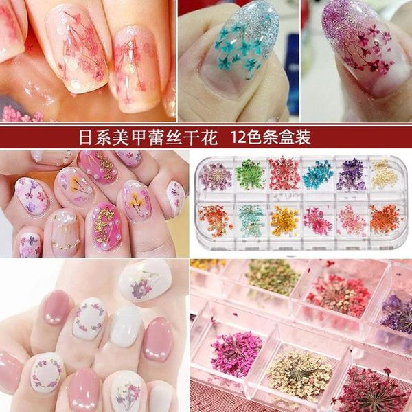 nail gel manufacturers wholesale online celebrity jewelry dried flowers 12 colors, Red;pink
nail gel manufacturers wholesale online celebrity jewelry dried flowers 12 colors, Red;pink