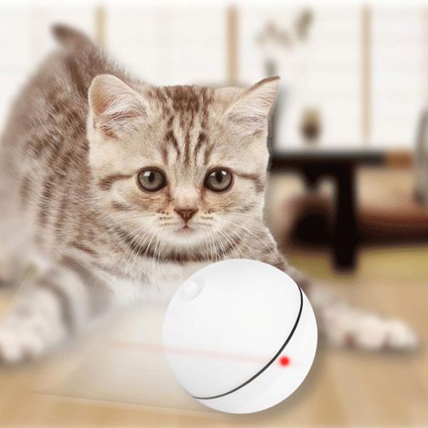 pet led motion ball toy flash electric automatic activated cat kitten dog playing- toys
pet led motion ball toy flash electric automatic activated cat kitten dog playing- toys