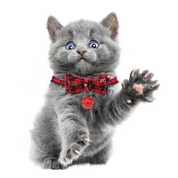 cat collars & leads 1pcs snowflake christmas pet bow tie bell collar dog hanging supplies
cat collars & leads 1pcs snowflake christmas pet bow tie bell collar dog hanging supplies