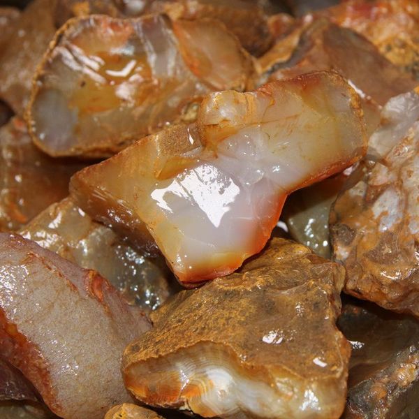 natural ice red agate madagascar carnelian rough stone for processing jewelry collection gems specimen minerals healing gift dec decorative
natural ice red agate madagascar carnelian rough stone for processing jewelry collection gems specimen minerals healing gift dec decorative