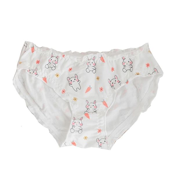japanese cute cartoon printing women panties teens kawaii anime underwear school girls lace cotton white breathable briefs, White;black
japanese cute cartoon printing women panties teens kawaii anime underwear school girls lace cotton white breathable briefs, White;black
