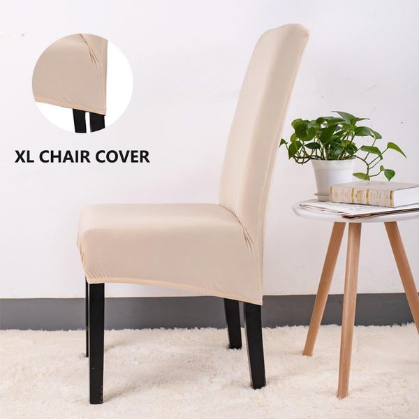chair covers xl size cover spandex fabric restaurant el party banquet seat slipcovers
chair covers xl size cover spandex fabric restaurant el party banquet seat slipcovers