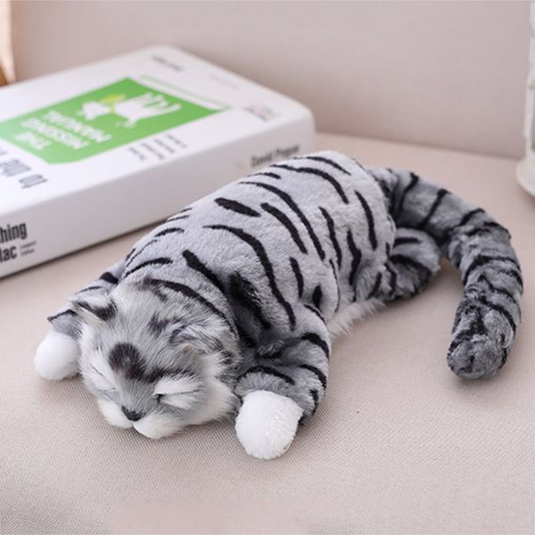 Funny Pet Cat Music Toys Interactive Electric Rolling Cat Holiday Kids Gifts Puzzle Baby Early Educational Toys juguetes
Funny Pet Cat Music Toys Interactive Electric Rolling Cat Holiday Kids Gifts Puzzle Baby Early Educational Toys juguetes
