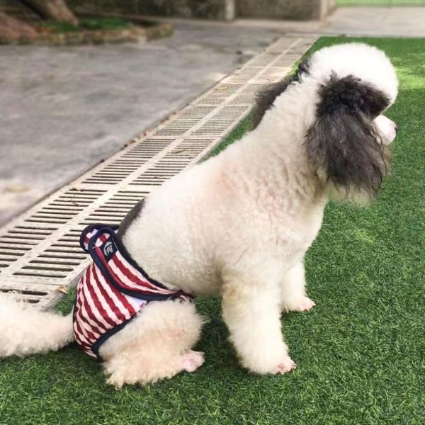 dog apparel pet diapers girl puppy pants menstruation underwear physiological diaper dogs sanitary panties shorts
dog apparel pet diapers girl puppy pants menstruation underwear physiological diaper dogs sanitary panties shorts