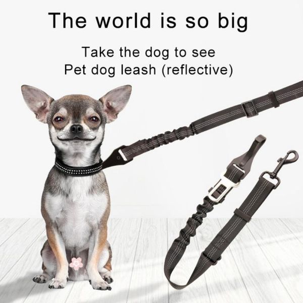 dog collars & leashes pet nylon tow rope car seat belt double-headed elastic one drag two traction outdoor practical cat supplies
dog collars & leashes pet nylon tow rope car seat belt double-headed elastic one drag two traction outdoor practical cat supplies