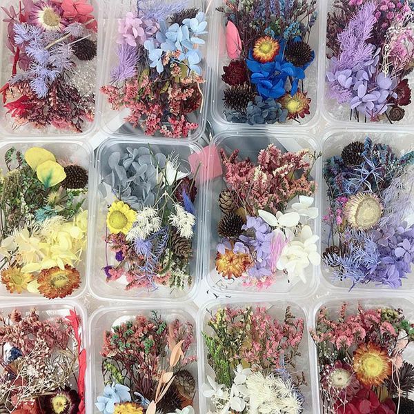 real mix dried flowers plant for resin jewellery dry plants pressed making craft diy po frame accessories decorative & wreaths
real mix dried flowers plant for resin jewellery dry plants pressed making craft diy po frame accessories decorative & wreaths