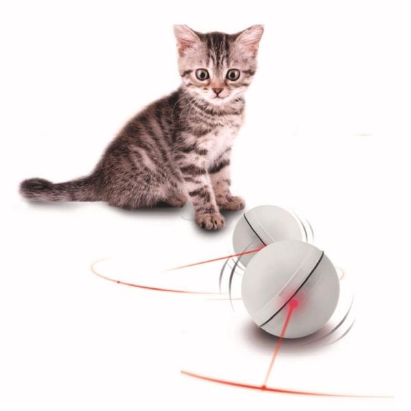 cat toys flash rolling cat's ball pet point bright electronic light small puppies
cat toys flash rolling cat's ball pet point bright electronic light small puppies