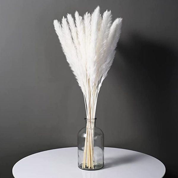 decorative flowers & wreaths 15pcs artificial pampas grass bouquet diy vase year holiday wedding party home decoration plant simulation flow
decorative flowers & wreaths 15pcs artificial pampas grass bouquet diy vase year holiday wedding party home decoration plant simulation flow