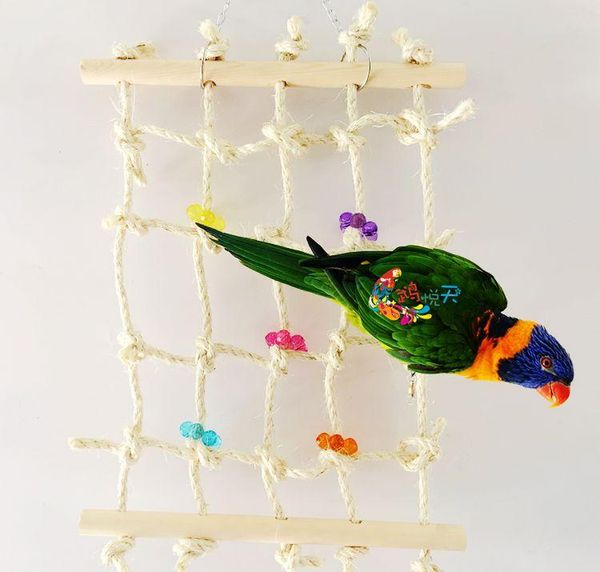 bird cages 1pcs rope net pet parrot chew play climbing chewing toys swing hammock toy hanging birds supplies est
bird cages 1pcs rope net pet parrot chew play climbing chewing toys swing hammock toy hanging birds supplies est