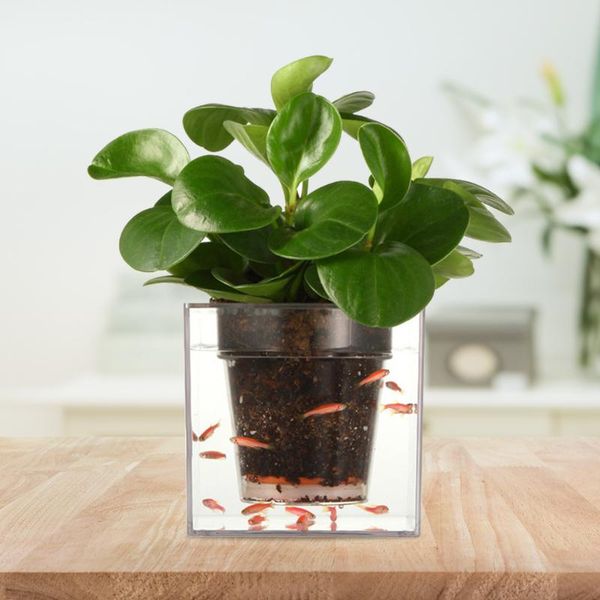 vases pots planter container creative plant transparent flower pot fish tanks potted acrylic vase ornament deskoffice decor
vases pots planter container creative plant transparent flower pot fish tanks potted acrylic vase ornament deskoffice decor