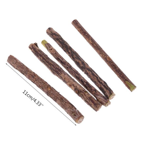 cat toys 5pcs natural catnip molar silvervine stick chew teeth cleaning mint treating
cat toys 5pcs natural catnip molar silvervine stick chew teeth cleaning mint treating