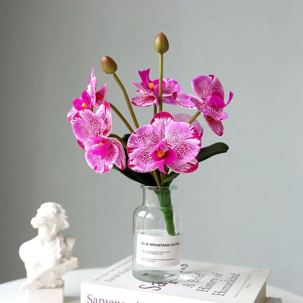 decorative flowers & wreaths 6 hand-feeling film with leaf phalaenopsis simulation flower potted ornaments home decoration arrangement plast 
decorative flowers & wreaths 6 hand-feeling film with leaf phalaenopsis simulation flower potted ornaments home decoration arrangement plast