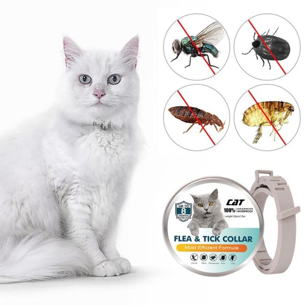 cat collars & leads pet anti flea ticks collar cats 8-month and tick prevention for 3 months of age older
cat collars & leads pet anti flea ticks collar cats 8-month and tick prevention for 3 months of age older