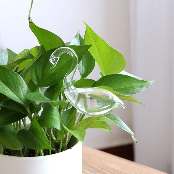 watering equipments glass self device automatic swan shape garden sprinklers waterer houseplant can csv
watering equipments glass self device automatic swan shape garden sprinklers waterer houseplant can csv