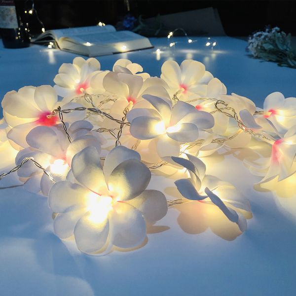 5 meter 40 led frangipani flower garlands with led light powered by batteryvase floral light decorationparty flower string
5 meter 40 led frangipani flower garlands with led light powered by batteryvase floral light decorationparty flower string
