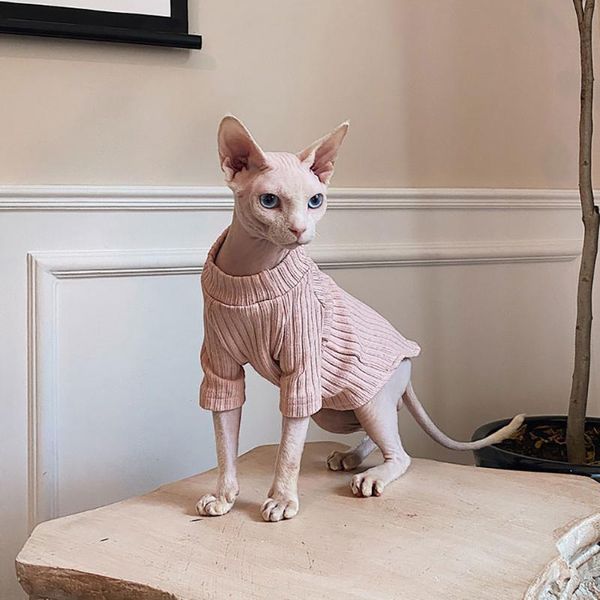 cat costumes sphinx clothes autumn winter thicken 100% cotton for cats sphynx kitten stretch sphinksu clothing suit coat warm
cat costumes sphinx clothes autumn winter thicken 100% cotton for cats sphynx kitten stretch sphinksu clothing suit coat warm