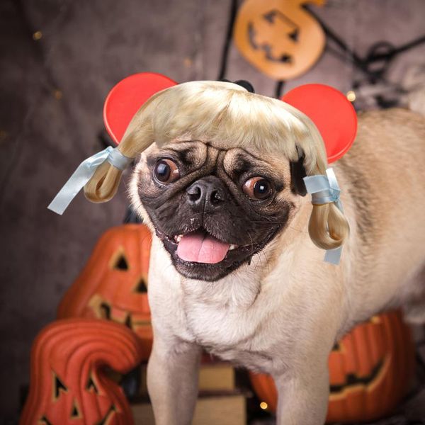 car headlights 1pc dog wig pet headwear headdress hair accessories supplies 
car headlights 1pc dog wig pet headwear headdress hair accessories supplies